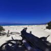 Chrissi Island