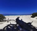 Chrissi Island
