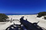 Chrissi Island