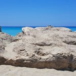 kleiner-20190619_123248