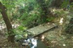 Kounaviani Schlucht