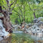 app-Agia Irini