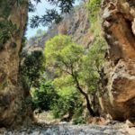 app-Agia Irini 2