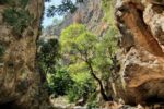 Irini Schlucht
