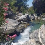 app-Kourtaliotiko (1)