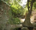 Myli Schlucht