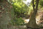 Myli Schlucht