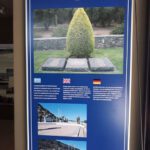 DeuSoldFriedMal8