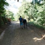 EselwanderungKournas1