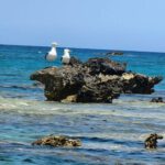 KoufonisiIsland2