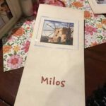 Milos-Taverna-Malia-1