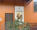 Omalia live Press