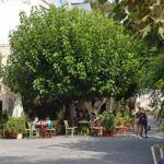 app-Anogia (3)