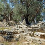 app-Archea Elefetherna (2)