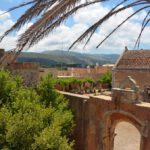 app-Arkadi (4)