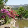 Botanischer Garten – Fournes