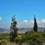 app-DSC_0128