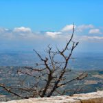 app-DSC_0142