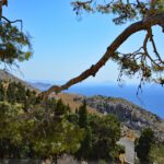 app-DSC_0182