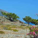app-DSC_0253