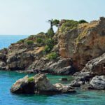app-DSC_0370