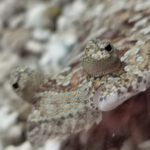 app-IMG_20201020_130442