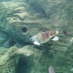 app-IMG_20201020_133951