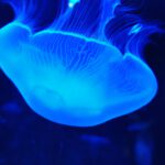app-IMG_20201020_142656