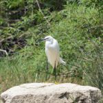 app-Kournas See (3)