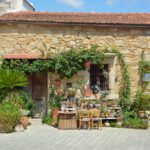 app-Margarites (1)