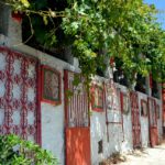app-Museum Asomatos (1)