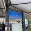 Fischtaverne ta Koxilia – Mochlos