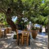 Taverna Sofiadis – Vrachasi
