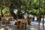 Taverna Sofiadis – Vrachasi