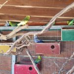 app-Labyrinth_park_hersonissos-14