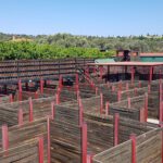 app-Labyrinth_park_hersonissos-3