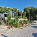 app-Taverna_Dyonissos_Agia_Fotia-1