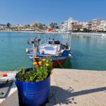 app-Sitia-2