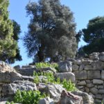 app-Agia_Triada-4