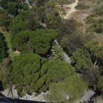 app-Apollonia-Resort-05