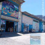 Avdou-5