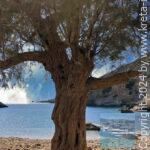 Martsalos Beach