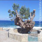 Mochlos-3
