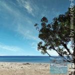 Rodakino Beach