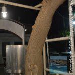 app-Katherina-Taverna-Kroustas-11