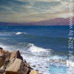app-Nopigia Beach2