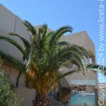 Theo-Star-Beach-Hotel-05