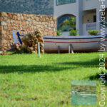 Theo-Star-Beach-Hotel-38