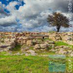 app-Galatas 04