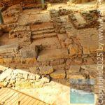app-Kydonia 02